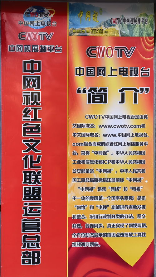 中網視紅色文化聯盟運營總部落地上海暨中網視上海總部成立周年慶 探索網絡文化經營新范式